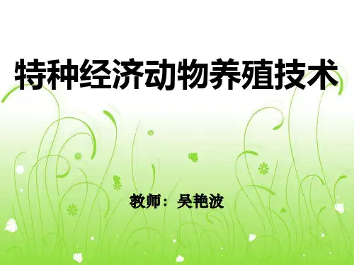 特种经济养殖
