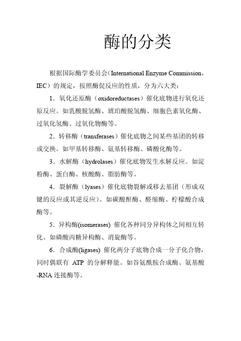 酶的分类