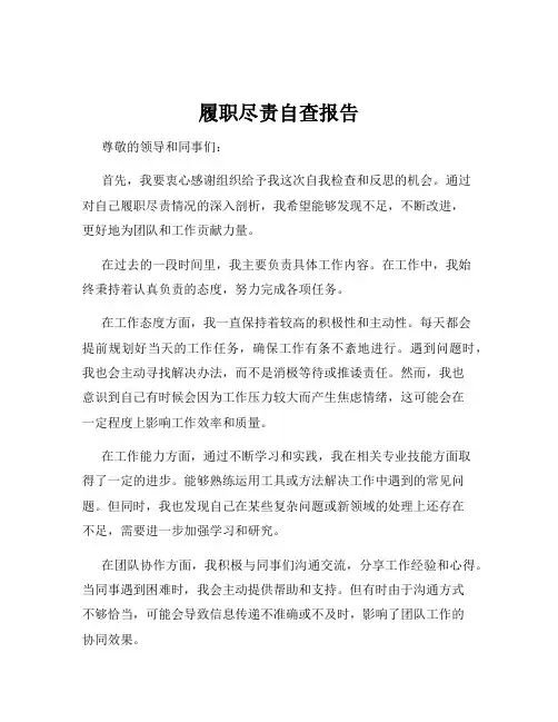 履职尽责自查报告