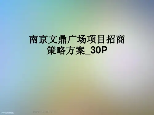 南京文鼎广场项目招商策略方案-30P