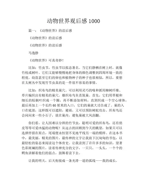 动物世界观后感1000