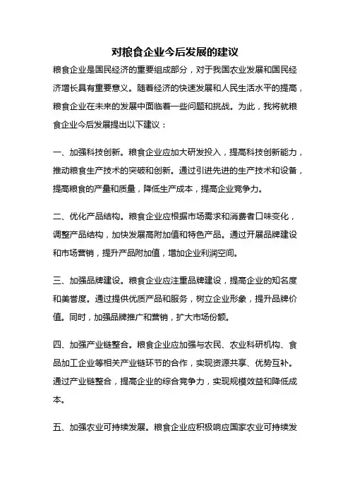 对粮食企业今后发展的建议