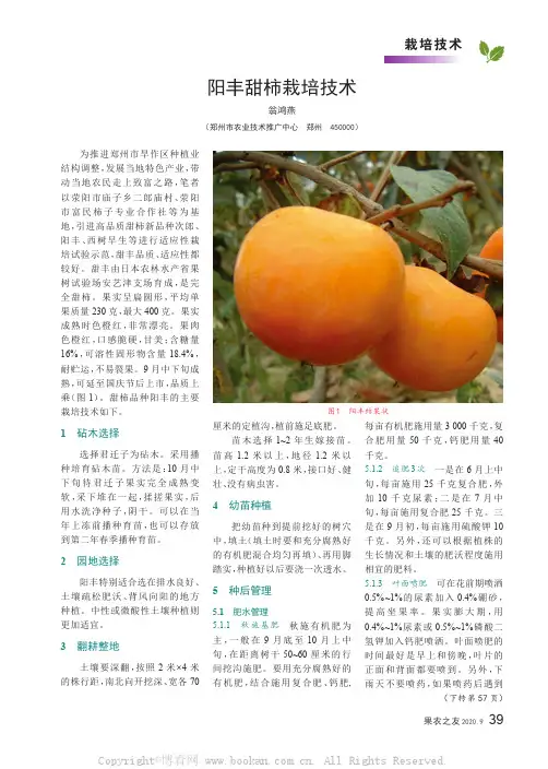 阳丰甜柿栽培技术