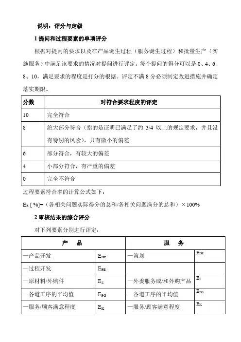 过程审核报告