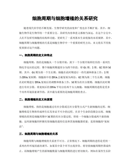 细胞周期与细胞增殖的关系研究
