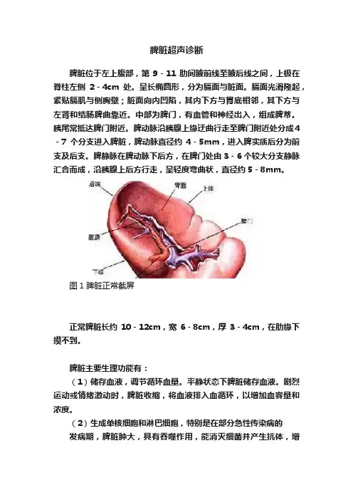 脾脏超声诊断