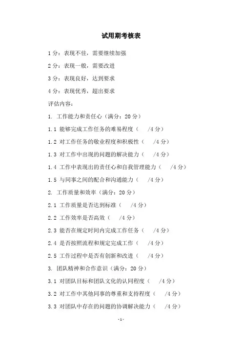 试用期考核表
