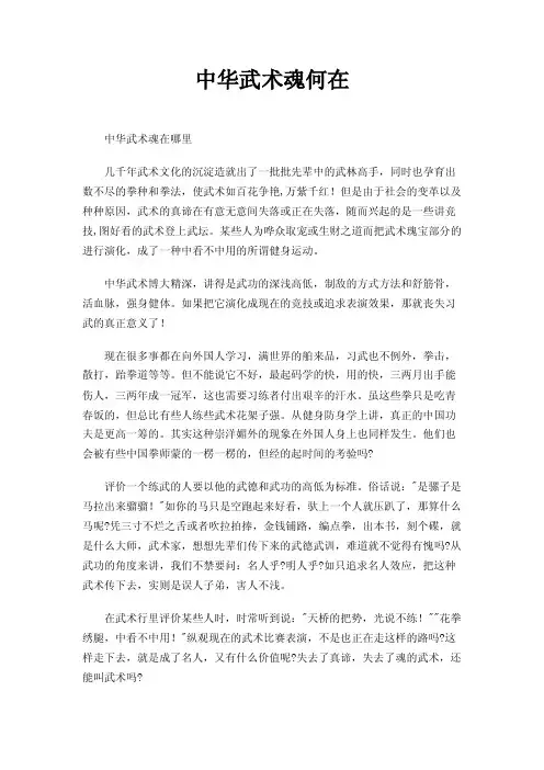 中华武术魂何在