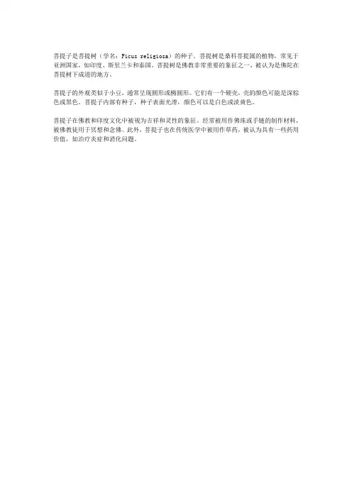 菩提子是什么树的种子