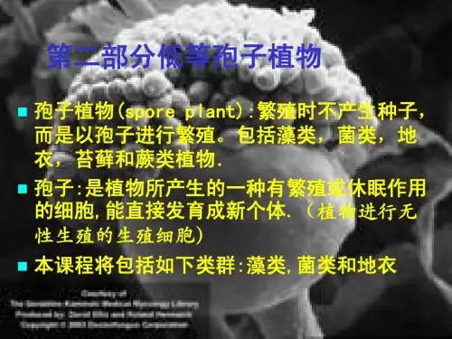植物学下册第1章 1-5节 藻类植物之蓝绿藻(Algae)73