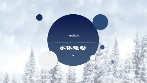 水体运动(考向3：海水的性质)2024年高考地理复习