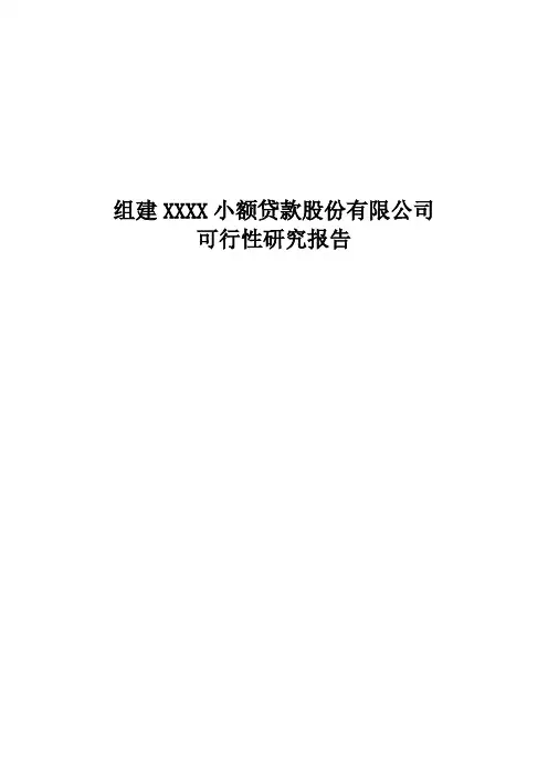小贷公司可行性分析报告