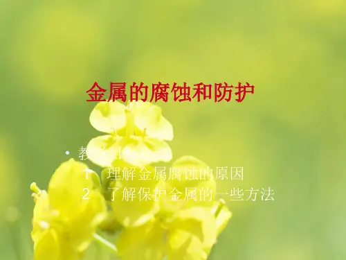 金属的腐蚀和防护PPT教学课件