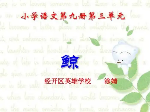 五年级上册《鲸》ppt课件