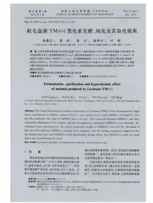 粒毛盘菌YM404黑色素发酵、纯化及其染色效果