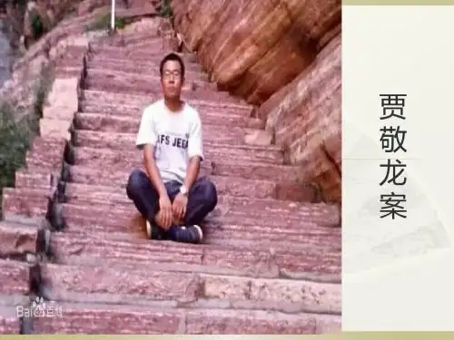 贾敬龙案