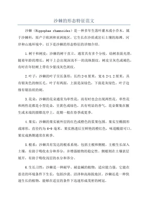 沙棘的形态特征范文