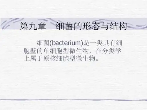 第一章 细菌的形态与结构