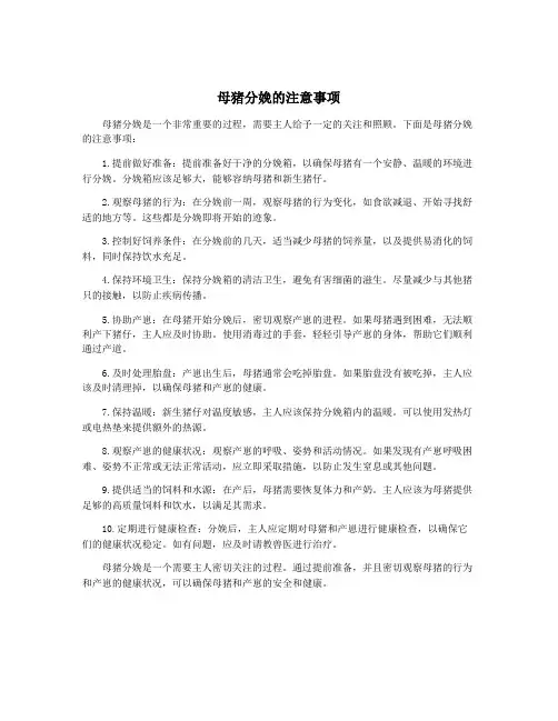母猪分娩的注意事项