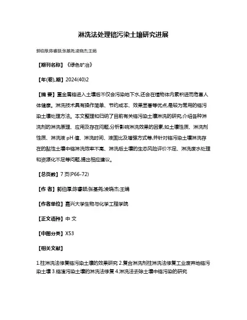 淋洗法处理铬污染土壤研究进展