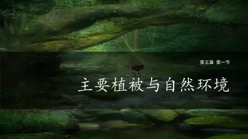《主要植被与自然环境》优质课件PPT