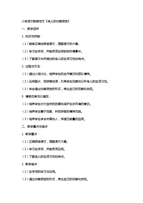 小学语文教案范文鸟儿的侦察报告
