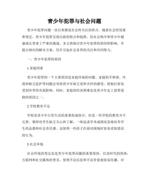 青少年犯罪与社会问题