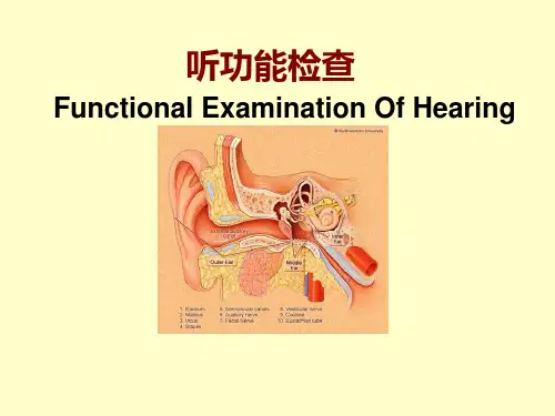 医学课件：听功能检查