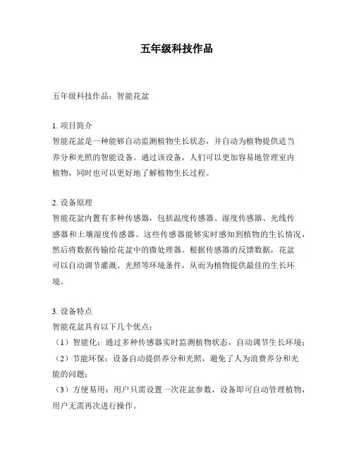 五年级科技作品