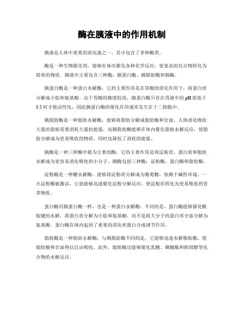 酶在胰液中的作用机制