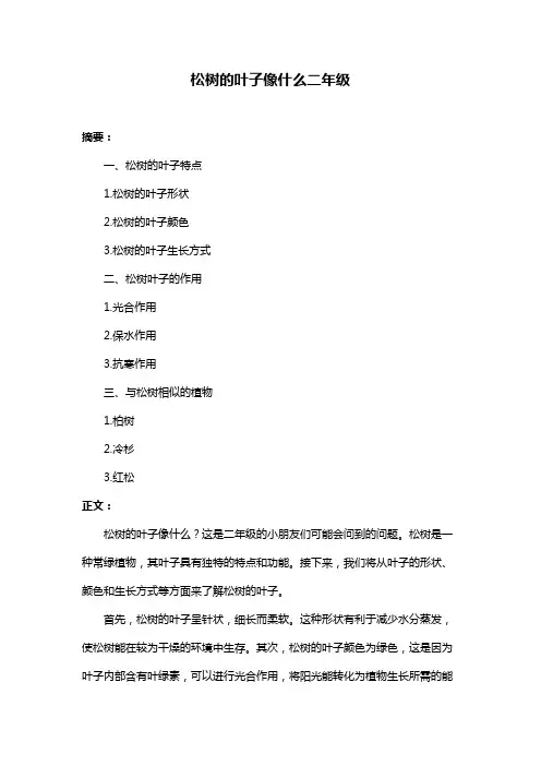 松树的叶子像什么二年级