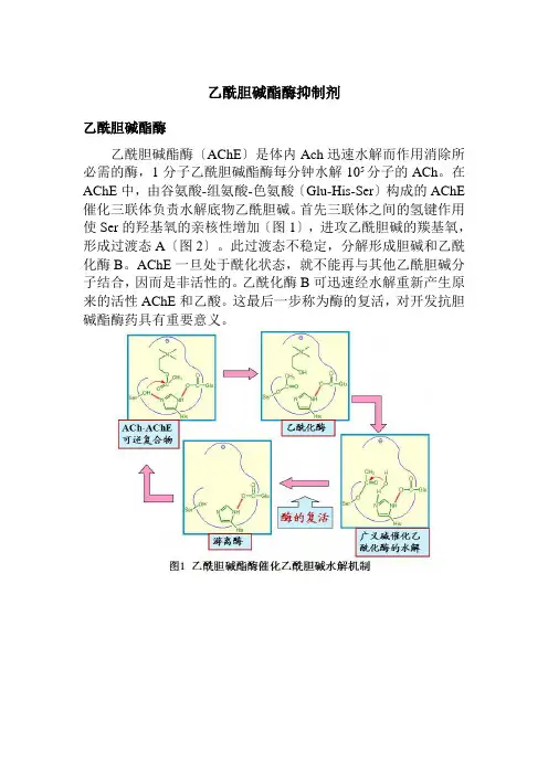 药品生产技术《乙酰胆碱酯酶抑制剂简介》