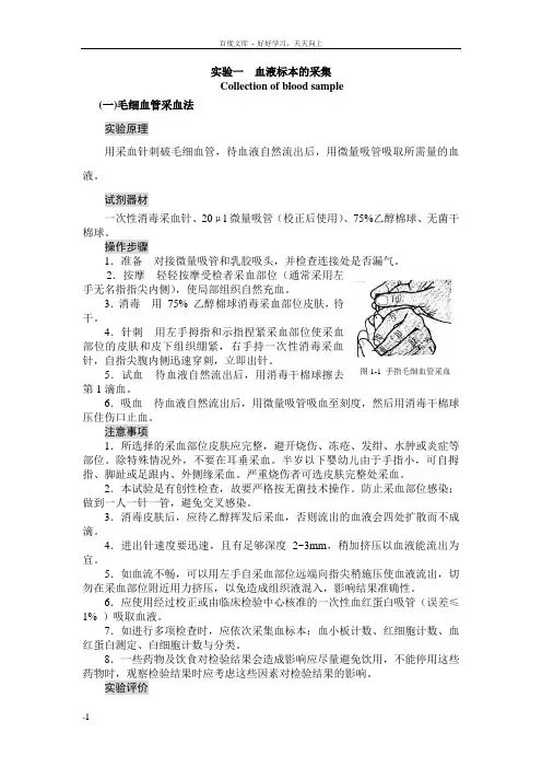 实验一血液标本的采集
