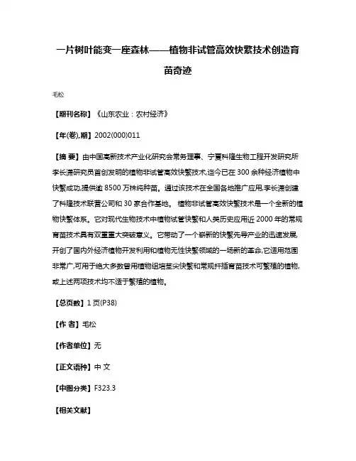 一片树叶能变一座森林——植物非试管高效快繁技术创造育苗奇迹
