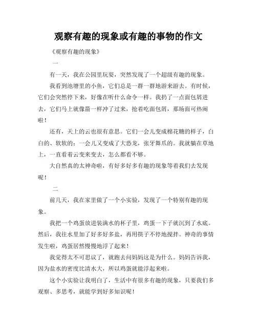 观察有趣的现象或有趣的事物的作文