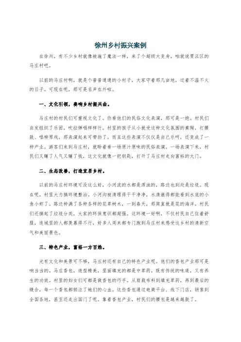徐州乡村振兴案例