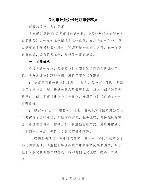 公司审计处处长述职报告范文