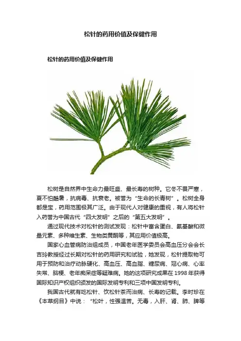 松针的药用价值及保健作用