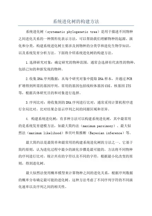 系统进化树的构建方法