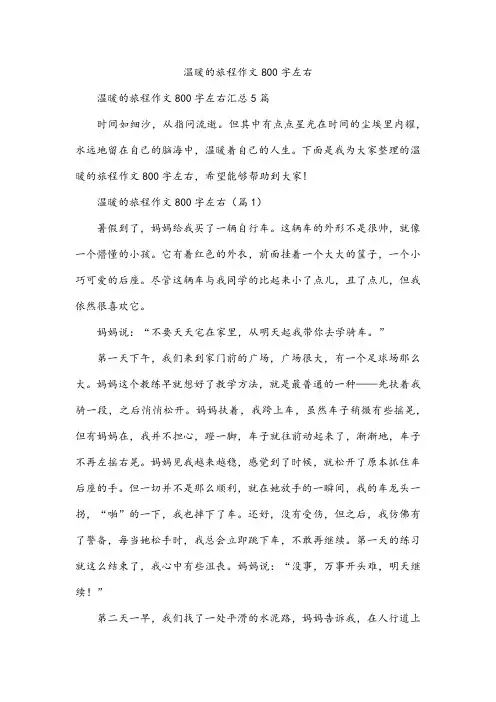 温暖的旅程作文800字左右