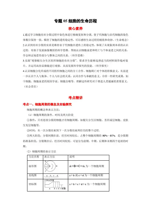 高考生物二轮复习核心考点 专题05 细胞的生命历程(含答案)