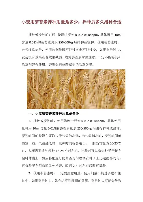 小麦用芸苔素拌种用量是多少,拌种后多久播种合适