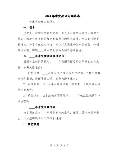 2024年水灾处理方案范本
