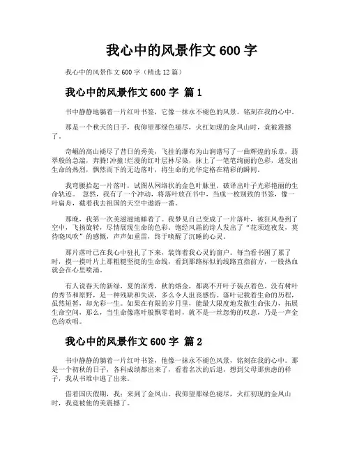 我心中的风景作文600字