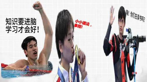 8.2 敬畏生命 同步课件(共31张PPT)
