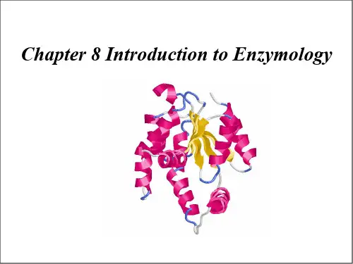 结构生物化学Chapter8 Introduction to enzymology