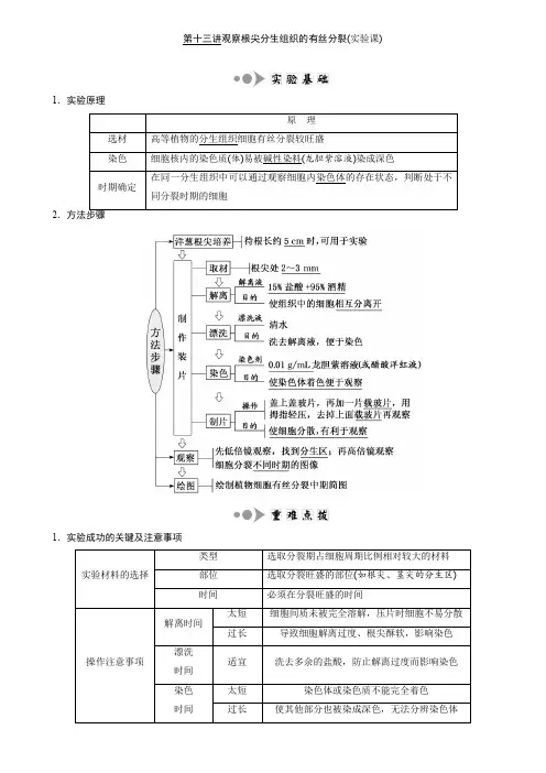 第十三讲观察根尖分生组织的有丝分裂(实验课)