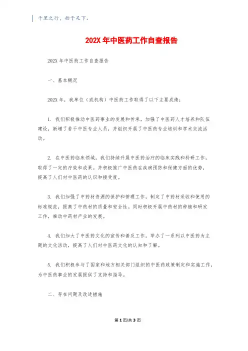 202X年中医药工作自查报告