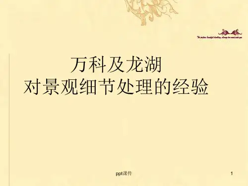 万科及龙湖对景观设计及细节处理的经验  ppt课件