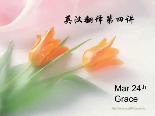 翻译入门四
